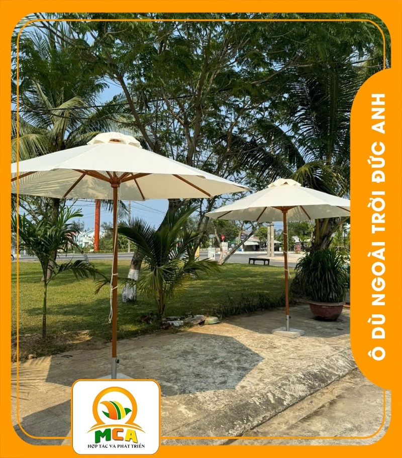 Dù Chính Tâm Gỗ - Không Bèo
