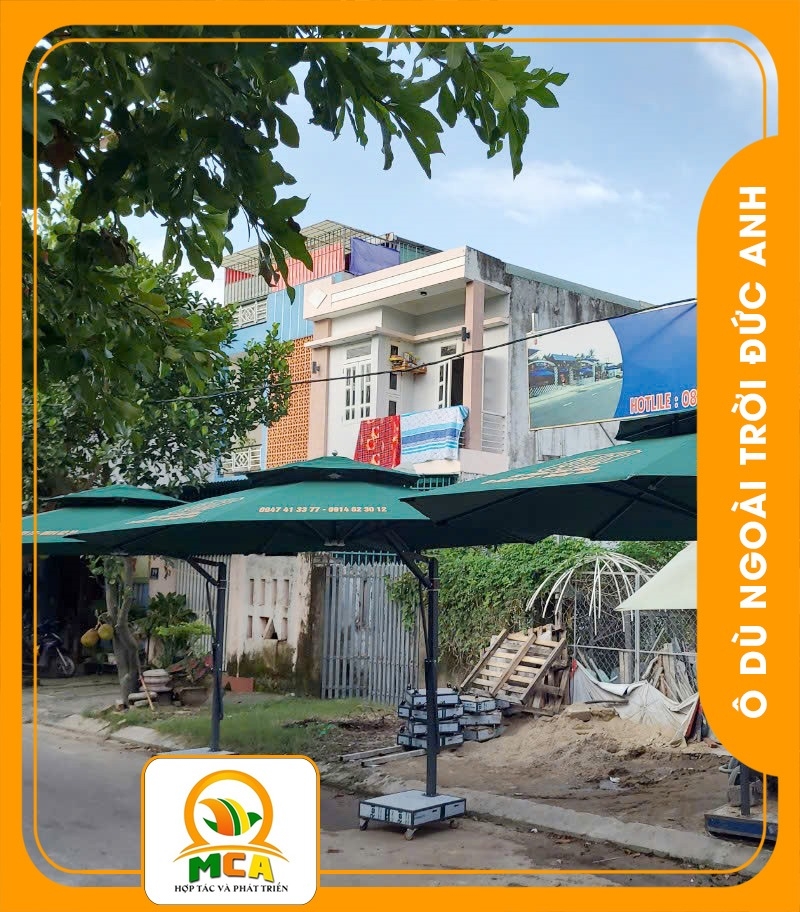 Dù Lệch Tâm Tròn