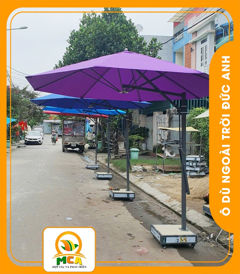 Dù Lệch Tâm Tròn 3m